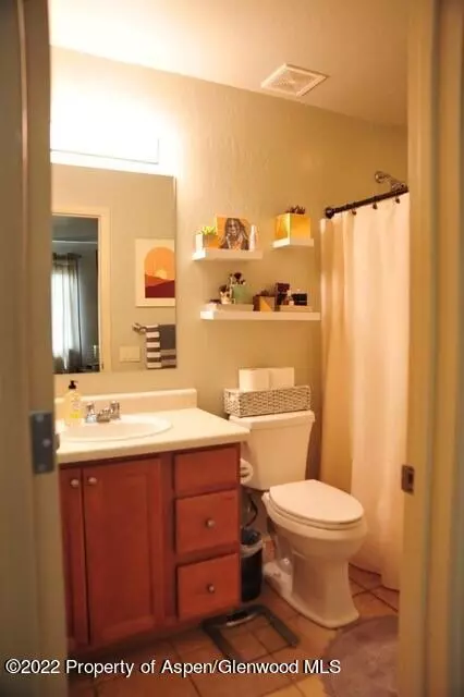 610 Lakeside Drive Basalt Co 81621 Dr, Basalt, CO 81621 photo 12