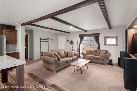 1109 Willits Lane Apt 6 Basalt Co 81621 Ln # 6, Basalt, CO 81621 photo 4