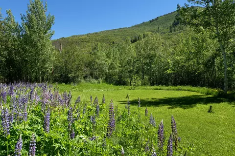 203 Roaring Fork Drive Aspen Co 81611 Dr, Aspen, CO 81611 photo 5