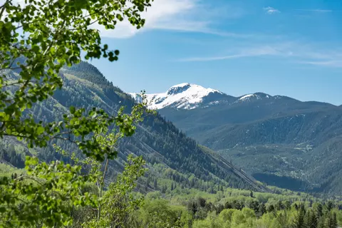 203 Roaring Fork Drive Aspen Co 81611 Dr, Aspen, CO 81611 photo 4