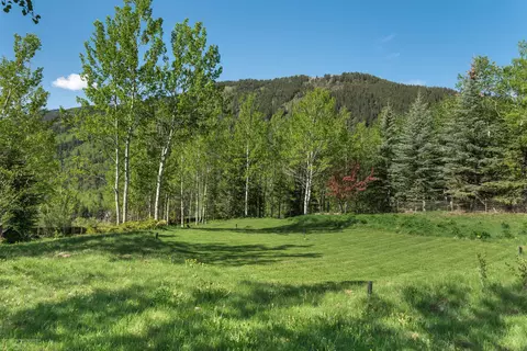 203 Roaring Fork Drive Aspen Co 81611 Dr, Aspen, CO 81611 photo 11