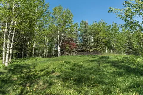 203 Roaring Fork Drive Aspen Co 81611 Dr, Aspen, CO 81611 photo 13