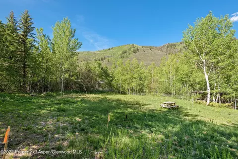 203 Roaring Fork Drive Aspen Co 81611 Dr, Aspen, CO 81611 photo 20