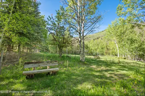 203 Roaring Fork Drive Aspen Co 81611 Dr, Aspen, CO 81611 photo 17