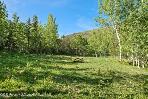203 Roaring Fork Drive Aspen Co 81611 Dr, Aspen, CO 81611 photo 21
