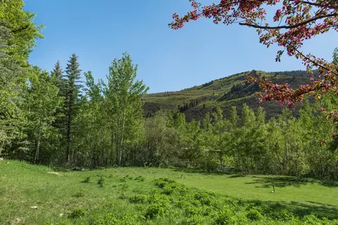 203 Roaring Fork Drive Aspen Co 81611 Dr, Aspen, CO 81611 photo 12