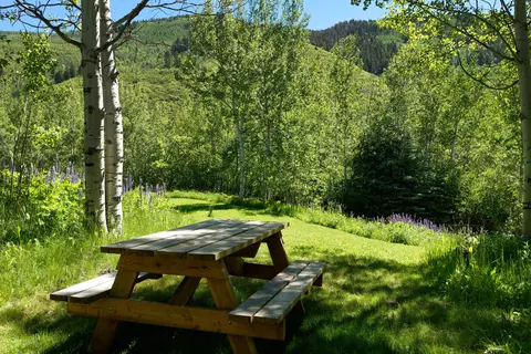203 Roaring Fork Drive Aspen Co 81611 Dr, Aspen, CO 81611 photo 6