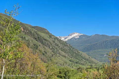 203 Roaring Fork Drive Aspen Co 81611 Dr, Aspen, CO 81611 photo 15