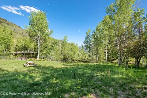 203 Roaring Fork Drive Aspen Co 81611 Dr, Aspen, CO 81611 photo 19