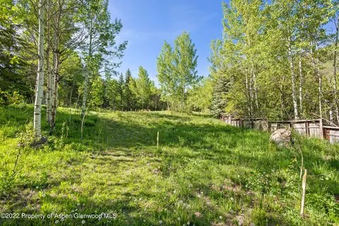 203 Roaring Fork Drive Aspen Co 81611 Dr, Aspen, CO 81611 photo 22