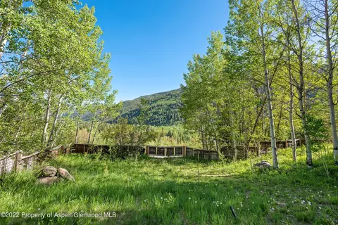 203 Roaring Fork Drive Aspen Co 81611 Dr, Aspen, CO 81611 photo 16