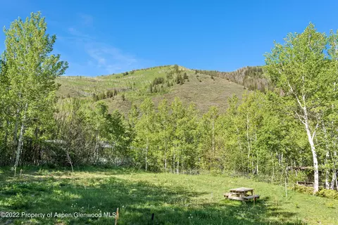 203 Roaring Fork Drive Aspen Co 81611 Dr, Aspen, CO 81611 photo 18