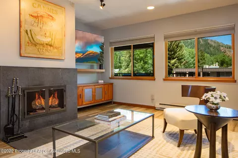 940 Waters Avenue 309 Aspen Co 81611 Ave #309, Aspen, CO 81611