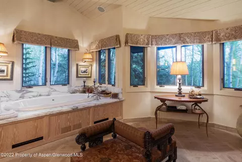 156 Eppley Drive Aspen Co 81611 Dr, Aspen, CO 81611 photo 19