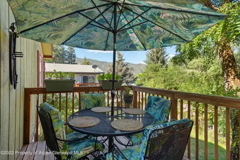 247 Longhorn Lane Basalt Co 81621 Ln, Basalt, CO 81621 photo 3