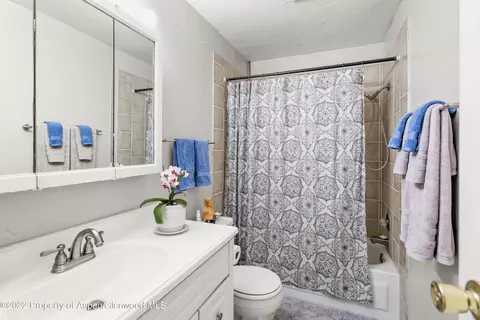 247 Longhorn Lane Basalt Co 81621 Ln, Basalt, CO 81621 photo 6