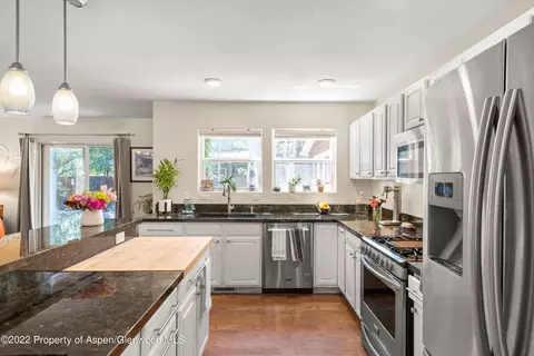 508 Lake Court Basalt Co 81621 Ct, Basalt, CO 81621 photo 5