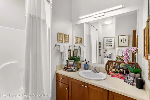 543 Evans Court Basalt Co 81621 Ct, Basalt, CO 81621 photo 13