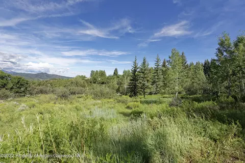 292 Danielson Drive Aspen Co 81611 Dr, Aspen, CO 81611 photo 22
