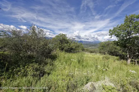 292 Danielson Drive Aspen Co 81611 Dr, Aspen, CO 81611 photo 29