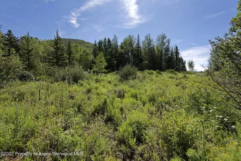 292 Danielson Drive Aspen Co 81611 Dr, Aspen, CO 81611 photo 28