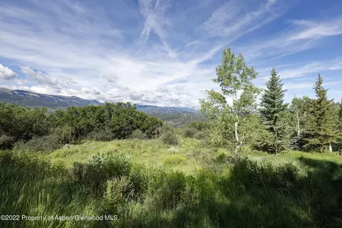 292 Danielson Drive Aspen Co 81611 Dr, Aspen, CO 81611 photo 21