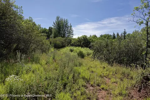 292 Danielson Drive Aspen Co 81611 Dr, Aspen, CO 81611 photo 30