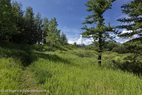 292 Danielson Drive Aspen Co 81611 Dr, Aspen, CO 81611 photo 26