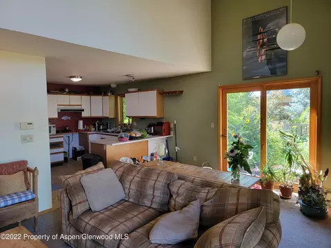 407 Elk Circle Basalt Co 81621 Cir, Basalt, CO 81621 photo 3