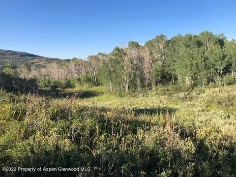 1513 Timberlane Loop Road Lot Apt 344 Craig Co 81625 Rd #LOT 344, Craig, CO 81625