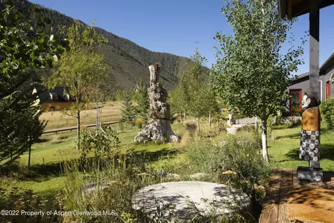 202 Castle View Drive Basalt Co 81621 Dr, Basalt, CO 81621 photo 19