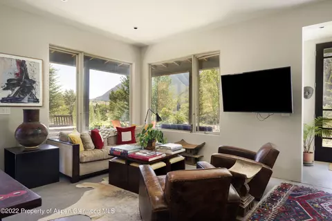 202 Castle View Drive Basalt Co 81621 Dr, Basalt, CO 81621 photo 8