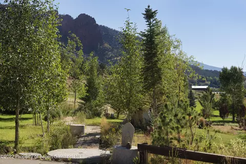 202 Castle View Drive Basalt Co 81621 Dr, Basalt, CO 81621 photo 21