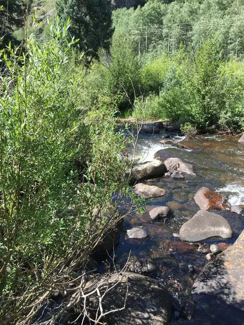 165 N Fork Spur Meredith Co 81642, Meredith, CO 81642 photo 3