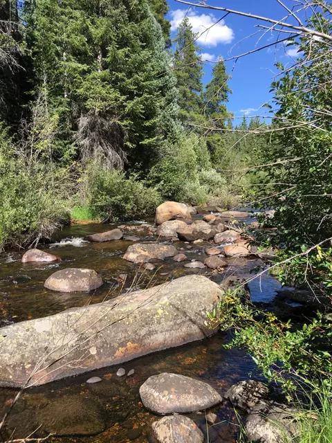 165 N Fork Spur Meredith Co 81642, Meredith, CO 81642 photo 10