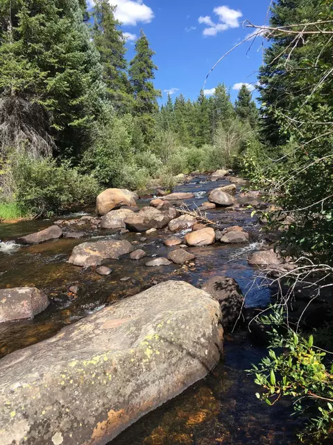 165 N Fork Spur Meredith Co 81642, Meredith, CO 81642 photo 2