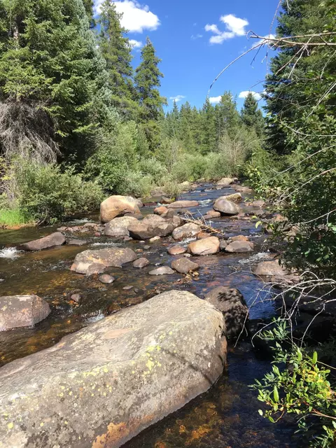 165 N Fork Spur Meredith Co 81642, Meredith, CO
