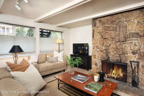 940 Waters Avenue Apt 102 Aspen Co 81611 # 102, Aspen, CO 81611