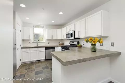 116 Lakeside Court Basalt Co 81621 Ct, Basalt, CO 81621 photo 7