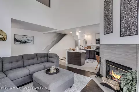 46 Silverado Drive Basalt Co 81621 Dr, Basalt, CO 81621 photo 4