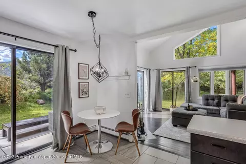 46 Silverado Drive Basalt Co 81621 Dr, Basalt, CO 81621 photo 7