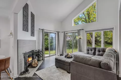 46 Silverado Drive Basalt Co 81621 Dr, Basalt, CO 81621 photo 3