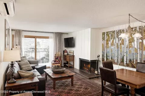 205 E Durant Avenue 3g Aspen Co 81611 Ave #3G, Aspen, CO 81611