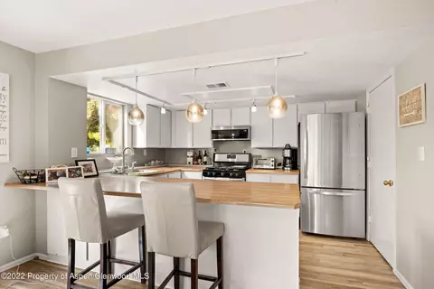 23 Riversedge Court Basalt Co 81621 Ct, Basalt, CO 81621 photo 5