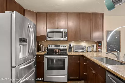 7204 Elk Run Drive Basalt Co 81621 Dr, Basalt, CO 81621 photo 6