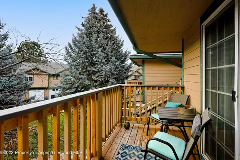 7204 Elk Run Drive Basalt Co 81621 Dr, Basalt, CO 81621 photo 12