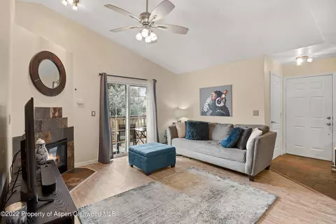 7204 Elk Run Drive Basalt Co 81621 Dr, Basalt, CO 81621 photo 2