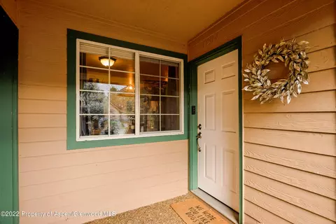 7204 Elk Run Drive Basalt Co 81621 Dr, Basalt, CO 81621 photo 11