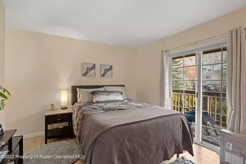 7204 Elk Run Drive Basalt Co 81621 Dr, Basalt, CO 81621 photo 8