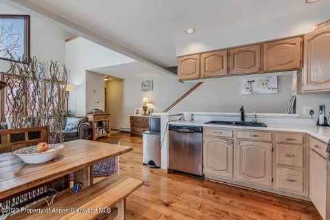 74 Silverado Drive Basalt Co 81621 Dr, Basalt, CO 81621 photo 11